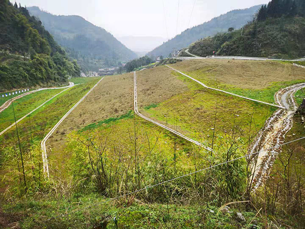 1615878461868510.png 1615878461868510.png