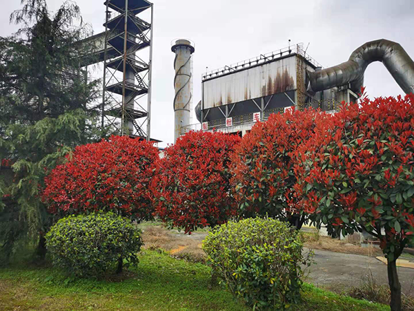 1615878489442883.png 1615878489442883.png