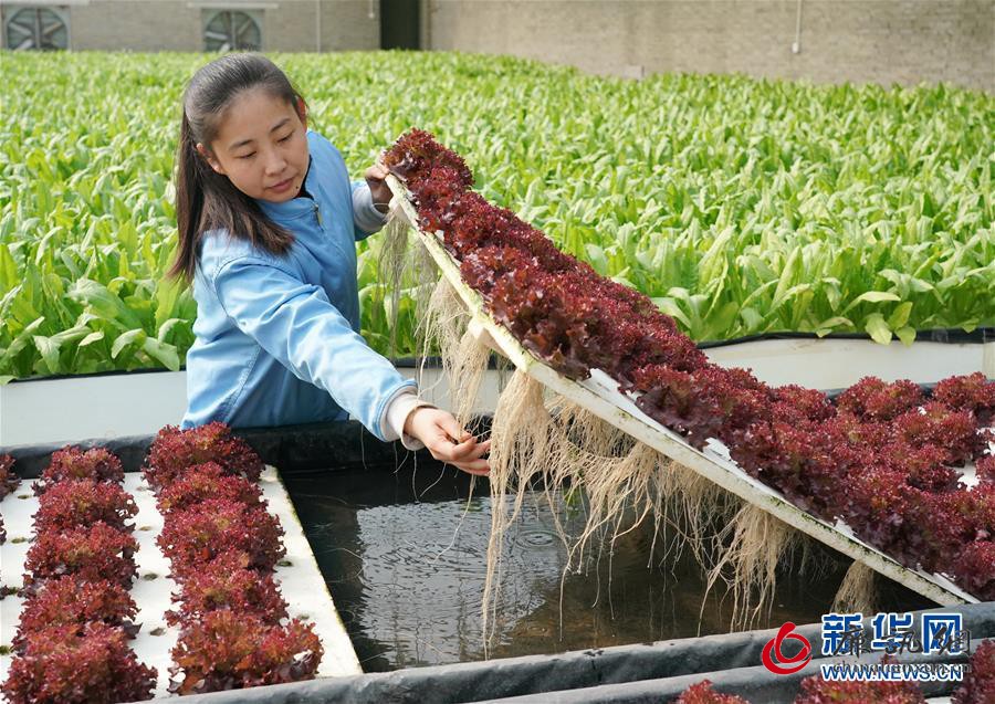 (新华全媒头条·图文互动)(2)习近平的扶贫故事