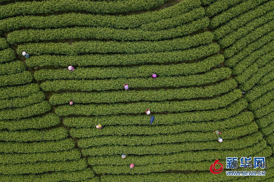 (新华全媒头条·图文互动)(16)习近平的扶贫故事