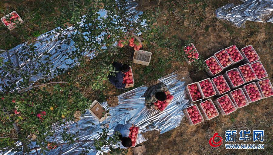 (新华全媒头条·图文互动)(19)习近平的扶贫故事