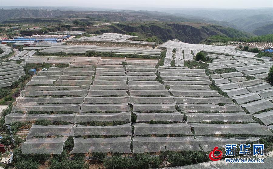 (新华全媒头条·图文互动)(1)习近平的扶贫故事