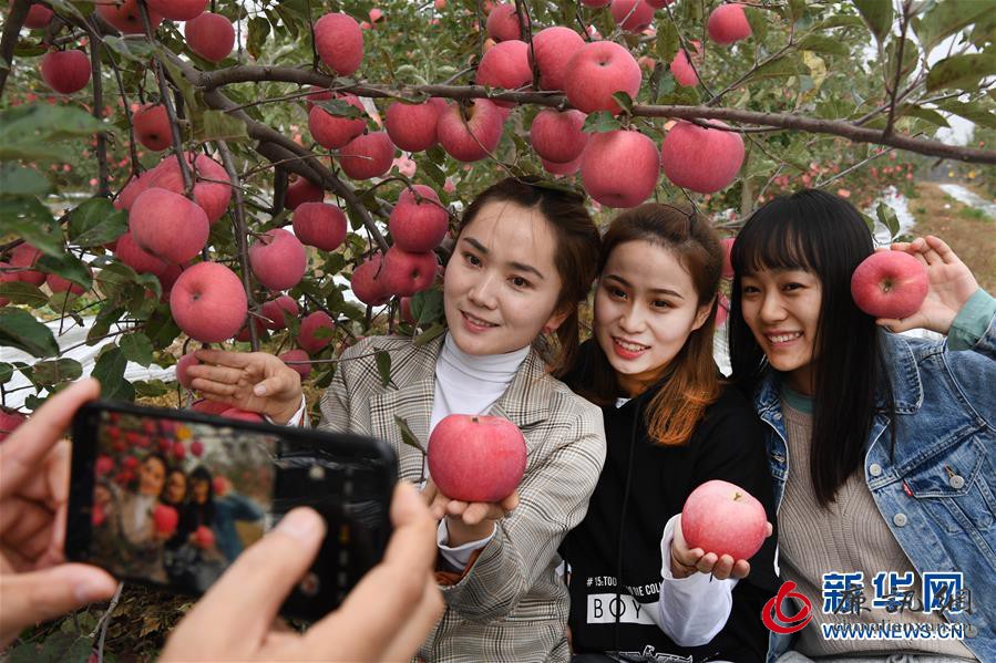 (新华全媒头条·图文互动)(20)习近平的扶贫故事