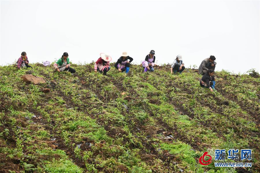 (新华全媒头条·图文互动)(18)习近平的扶贫故事