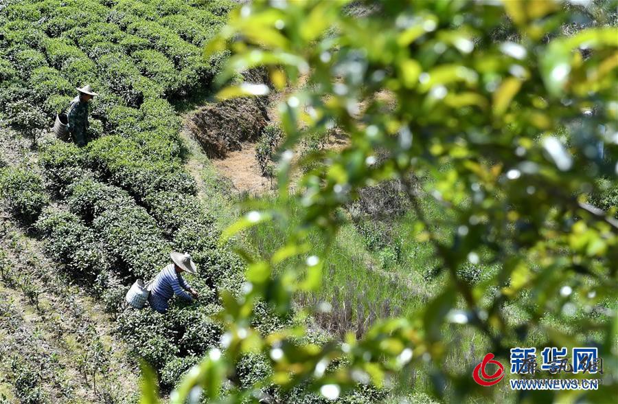 (新华全媒头条·图文互动)(24)习近平的扶贫故事