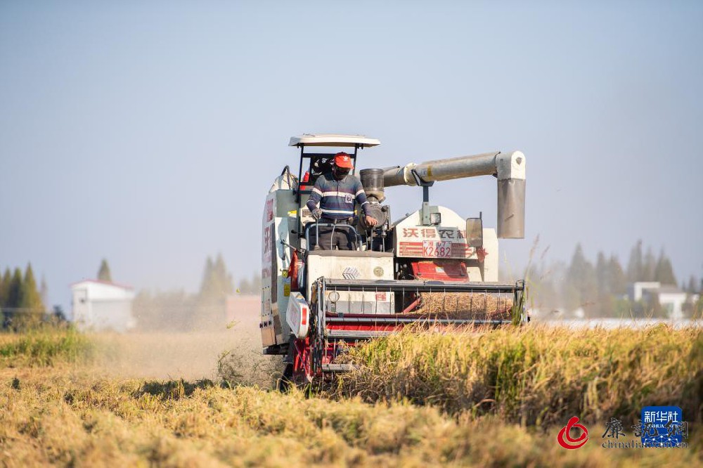 金秋时节收割忙